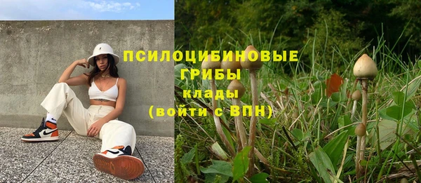 амфетамин Няндома