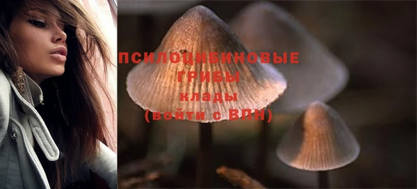 амфетамин Няндома