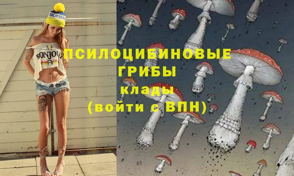 винт Нязепетровск