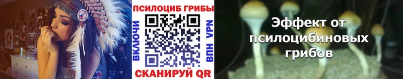 Галлюциногенные грибы прущие грибы  Купить закладки  Кинешма 